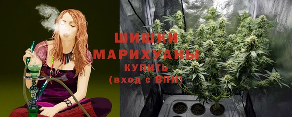 сатива Бугульма