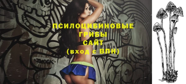 сатива Бугульма